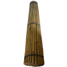 Bamboo Canes